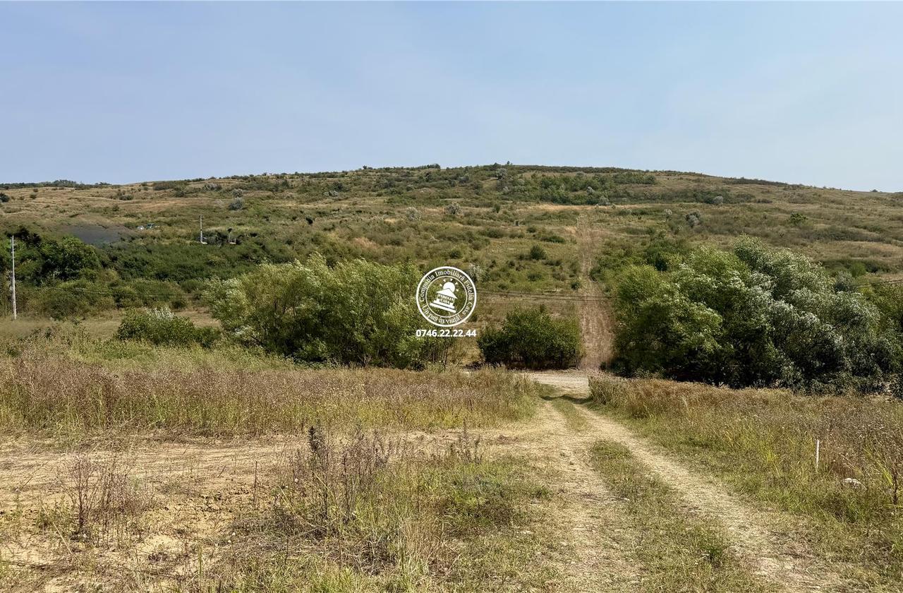 Teren Intravilan 700 mp în Dorobanț Aroneanu – Toate Utilitățile în Proximitate & Vedere Panoramică