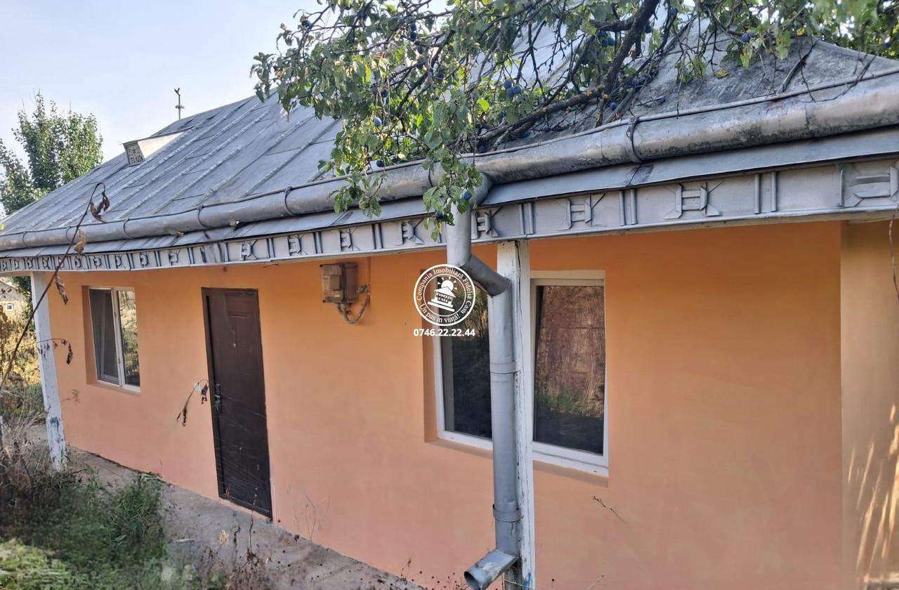 Casa si teren 1688 mp de vanzare Iepureni