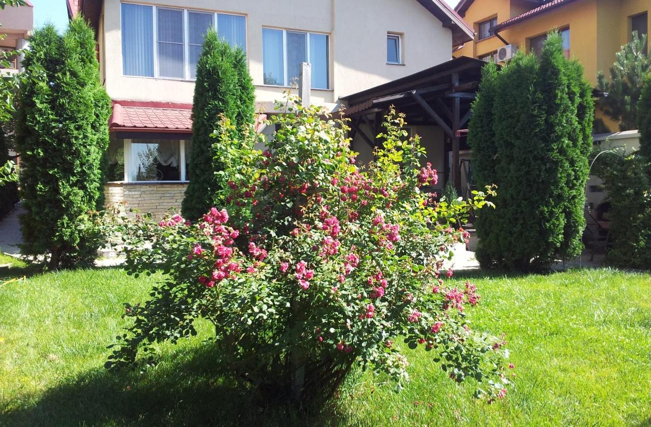 Vila de vanzare 9 camere de vanzare, Centru Civic - Iasi