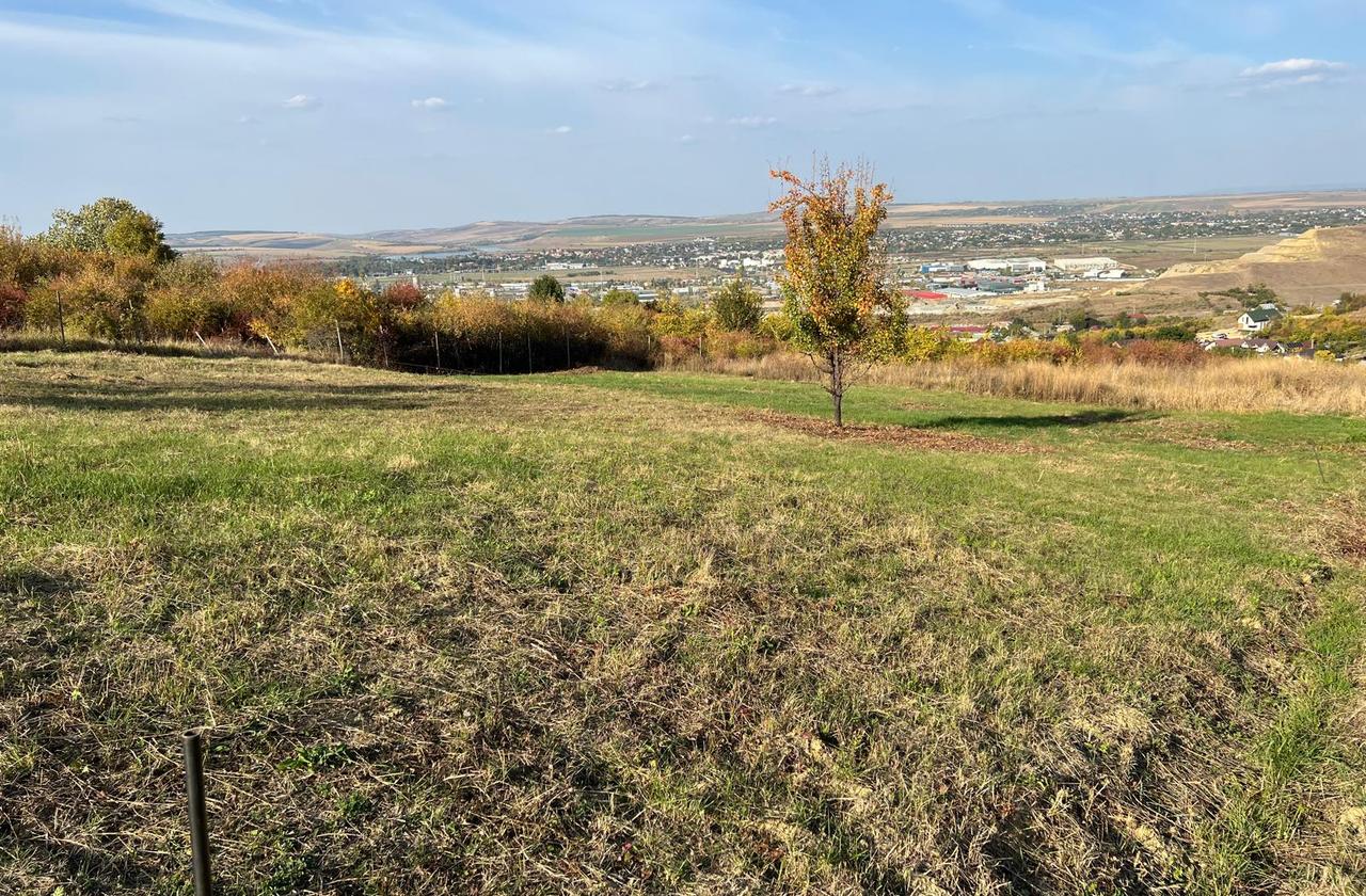 Teren 1240 mp intravilan de vanzare, Vladiceni - Iasi