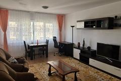 Apartament 1 camera, zona Canta